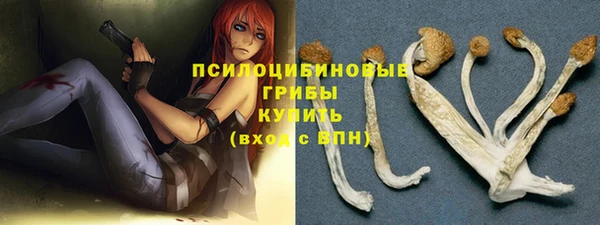 тгк Баксан