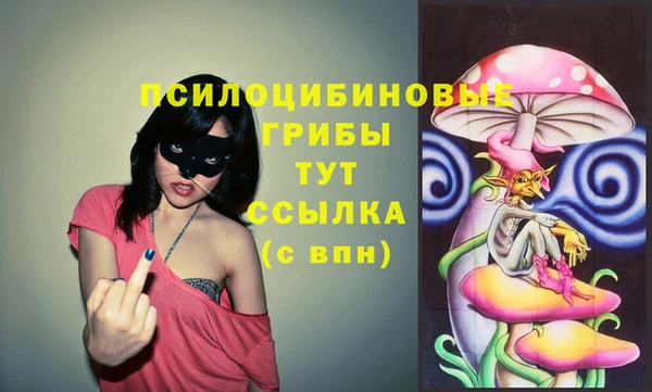 jwh Нязепетровск